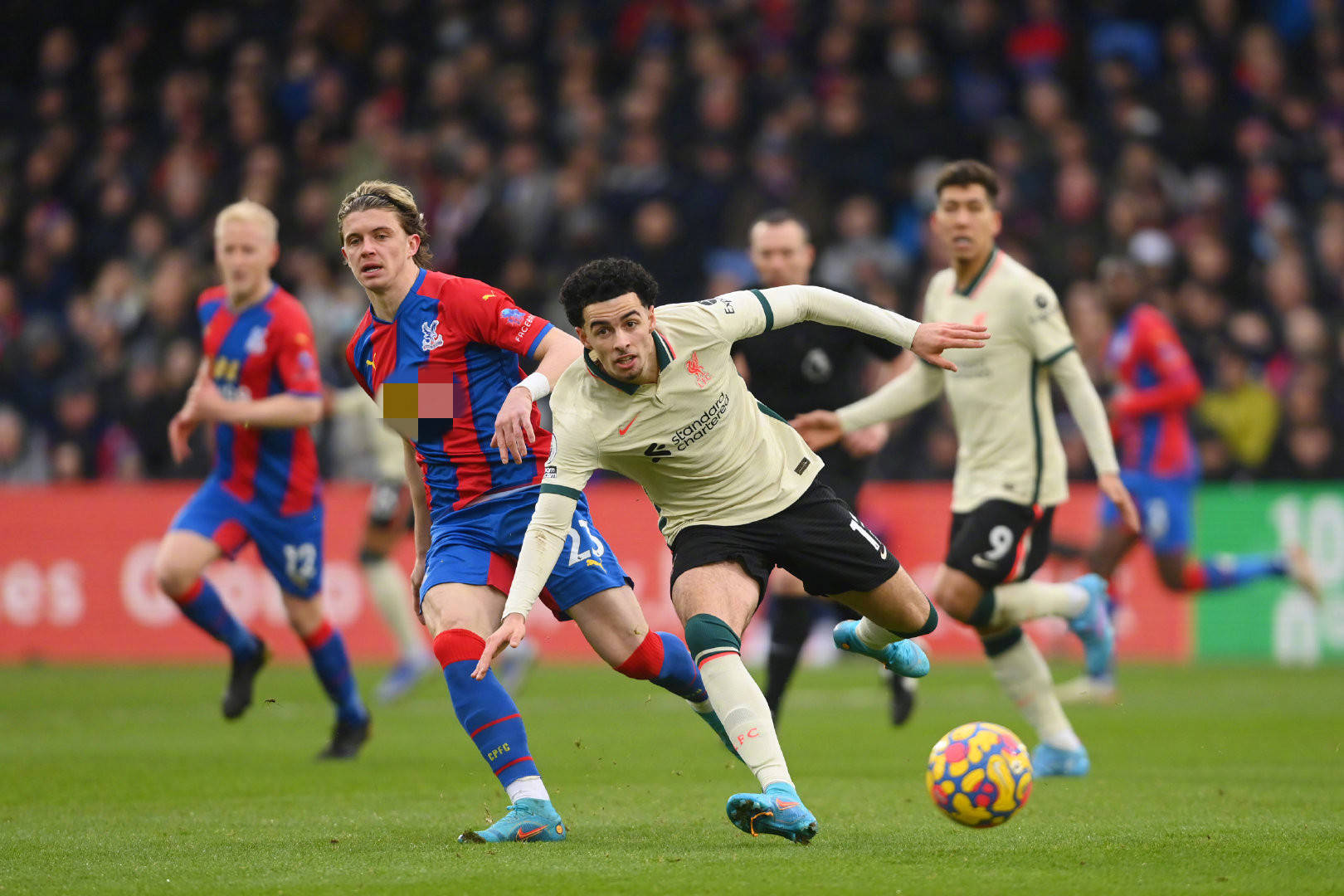 紐角色的潛 紐角色的潛